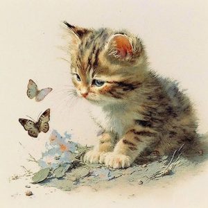 Κουτί με διακόσμηση γάτα με πεταλούδες (12.5*12.5*6 εκ.)