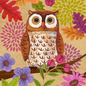 Κουτί με διακόσμηση πολύχρωμη κουκουβάγια