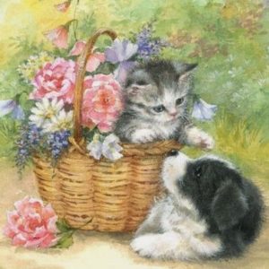 Κουτί με διακόσμηση γατούλα με σκυλάκι 1